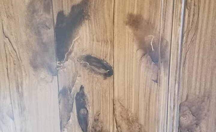 Close up of woodgrain